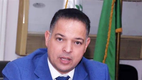 الدكتور محمد كفافي