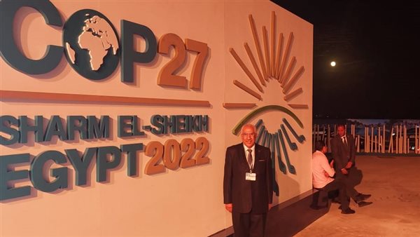 النائب مجدي سليم