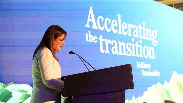  وزيرة التخطيط 