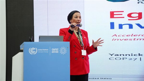 ياسمين فؤاد وزيرة