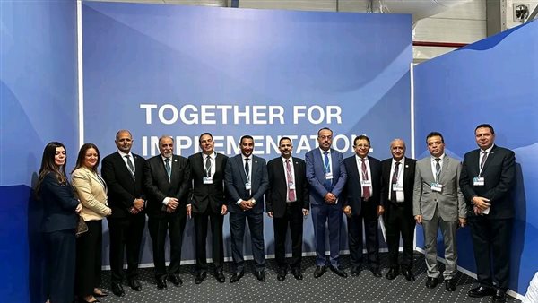 نواب مستقبل وطن 