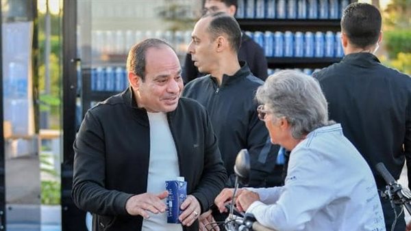 السيسي يلتقى سويدية