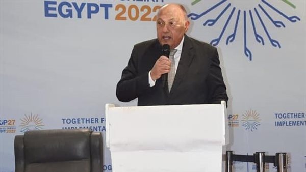 سامح شكري وزير الخارجية