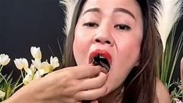 البلوجر تاكل الخفاش