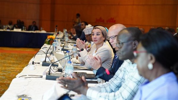 ياسمين فؤاد وزيرة