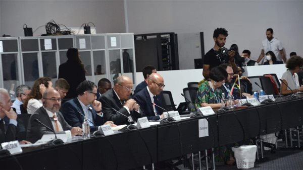 سامح شكري وزير الخارجية