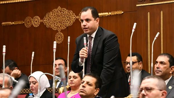 النائب أحمد فوزي