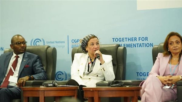 ياسمين فؤاد وزيرة