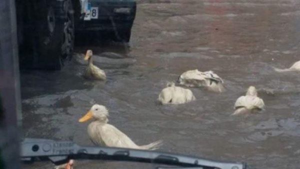 صورة ارشيفية