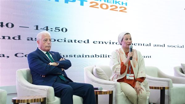 ياسمين فؤاد وزيرة