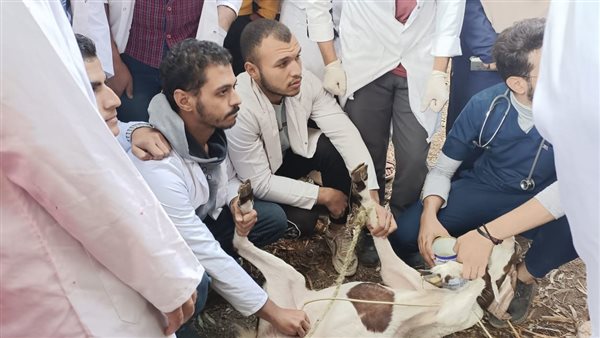 القافلة الطبية 