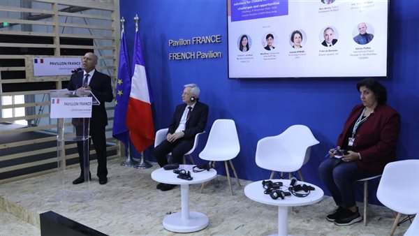 كامل الوزير وزير