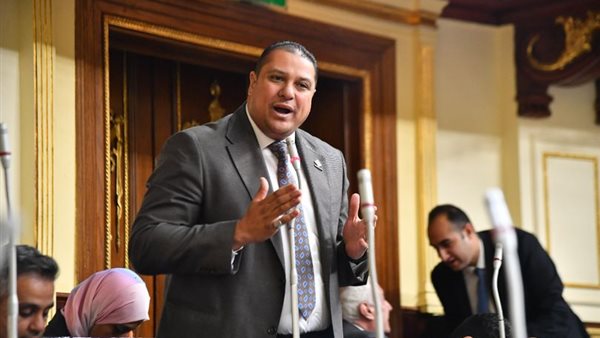 النائب محمد إسماعيل