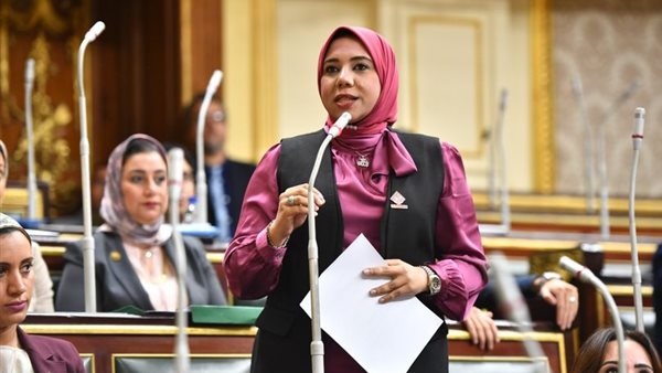 النائبة هيام الطباخ