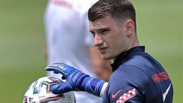 دومينيك ليفاكوفيتش