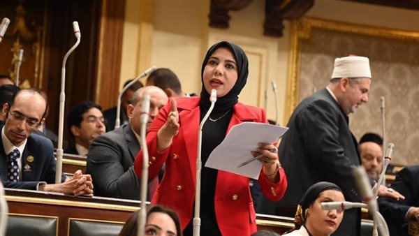 نائبة التنسيقية هيام