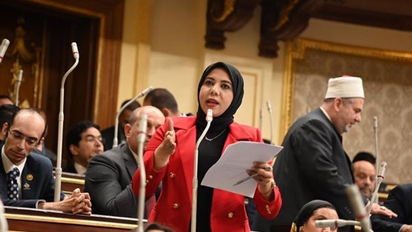 النائبة هيام الطباخ