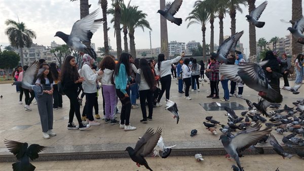 والزوار يلتقطون الصور