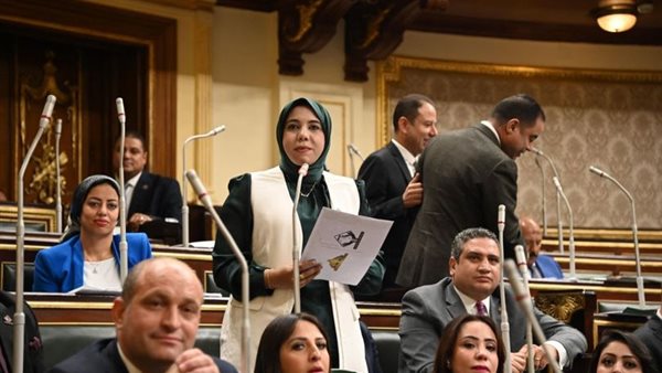 النائبة هيام الطباخ