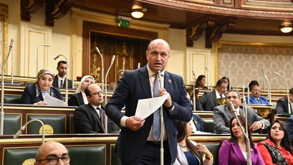  النائب أحمد رمزي