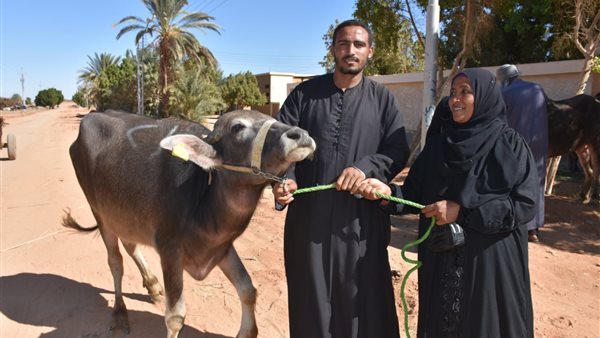 جانب من التوزيع