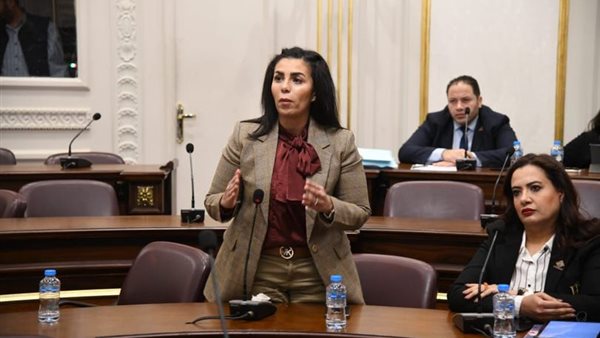 النائبة سها سعيد