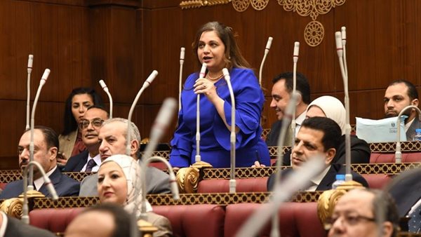  النائبة هيام فاروق