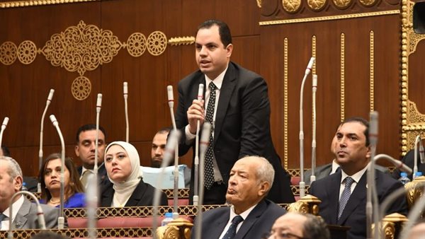 النائب أحمد فوزى