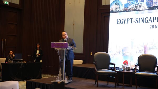 د. محمد معيط وزير