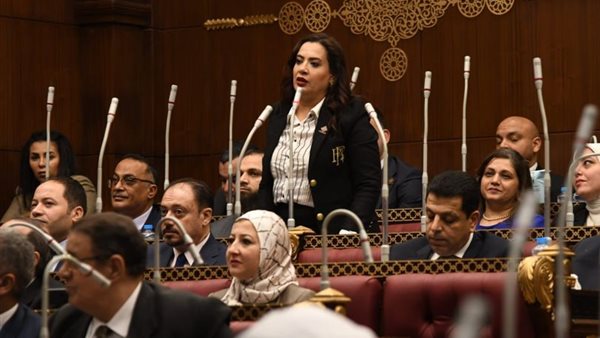  النائب راجية الفقى