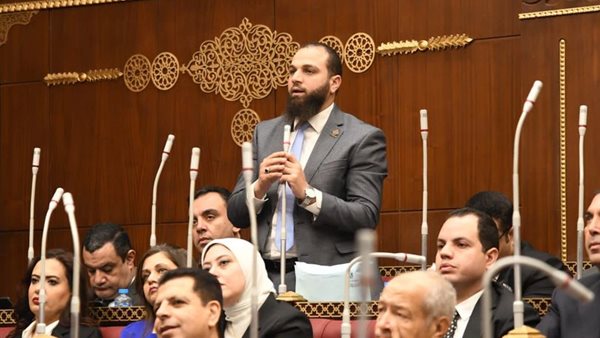  النائب محمود تركى