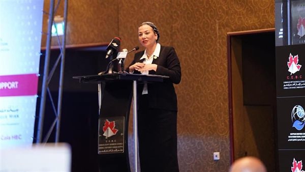 ياسمين فؤاد وزيرة