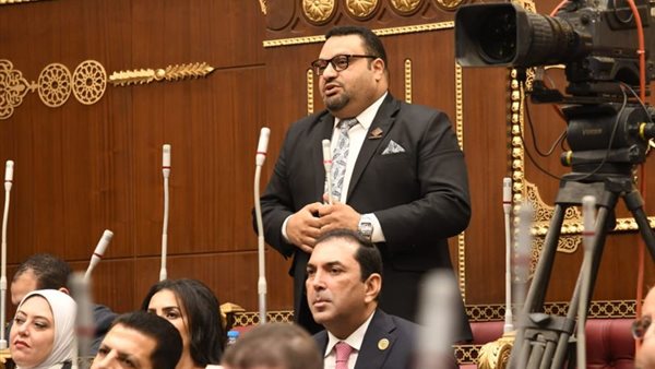 النائب أحمد القناوي