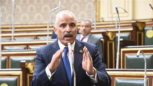 النائب عيد حماد