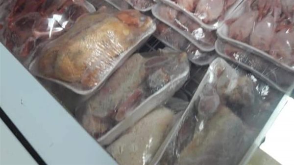 ضبط 150 دجاجة مجهولة