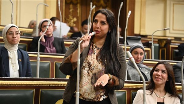 النائبة نشوى الشريف