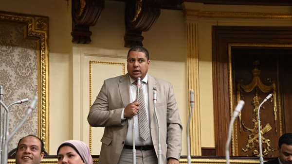  النائب محمد اسماعيل