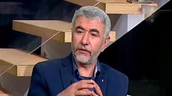 د. نبيل القط 