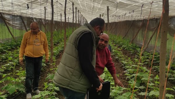 صورة من الحدث 