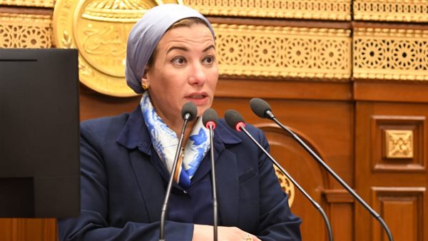 ياسمين فؤاد وزيرة