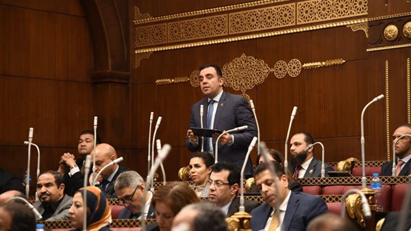 النائب محمد  السباعي