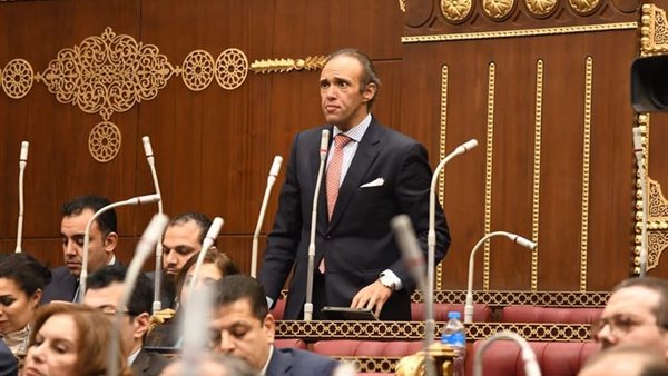  النائب محمد فريد