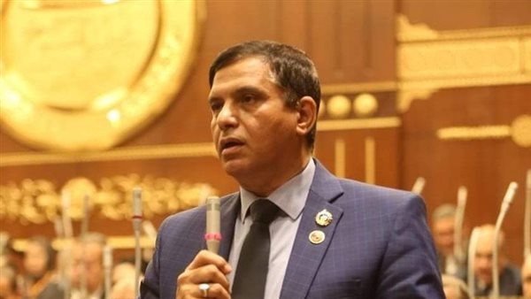 النائب طارق نصير