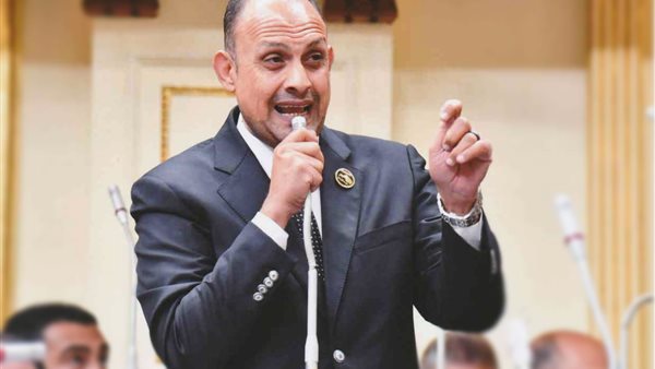  النائب هشام الجاهل