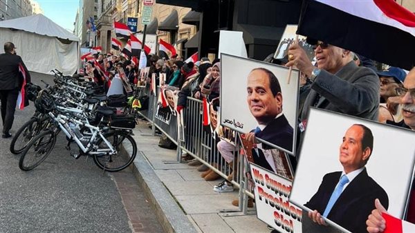 الجالية المصرية 