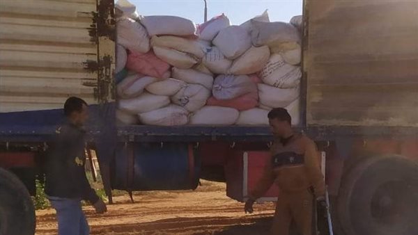 الوادي الجديد