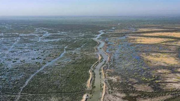 صورة ارشيفية