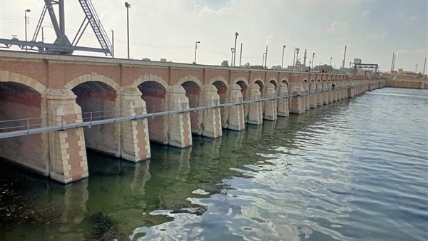 صورة من الحدث 