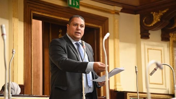  النائب محمد إسماعيل