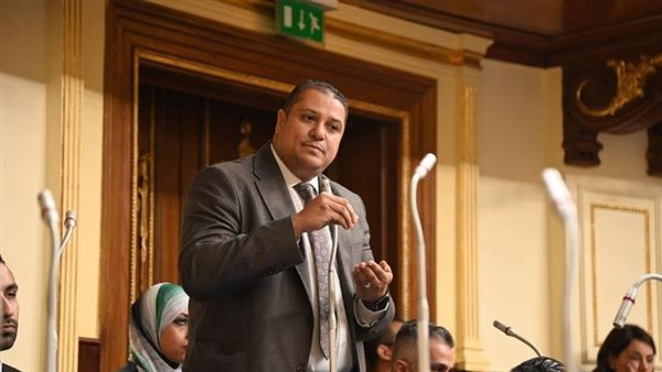 النائب محمد إسماعيل